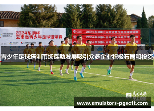 青少年足球培训市场蓬勃发展吸引众多企业积极布局和投资