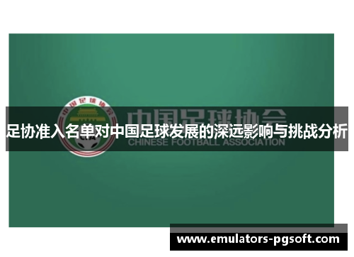 足协准入名单对中国足球发展的深远影响与挑战分析