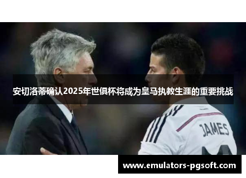 安切洛蒂确认2025年世俱杯将成为皇马执教生涯的重要挑战 安切洛蒂确认2025年世俱杯将成为皇马执教生涯的重要挑战